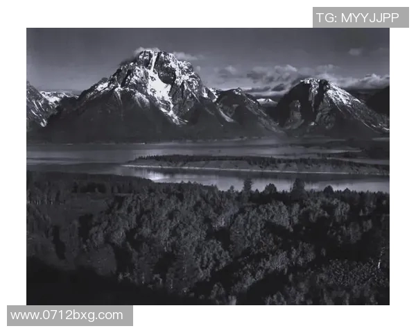 亚当斯的传奇人生与影响力探讨：从个人成就到社会变革的深远意义