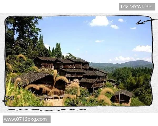 探索德伦特的自然美景与人文魅力，感受荷兰乡村的独特风情与历史韵味